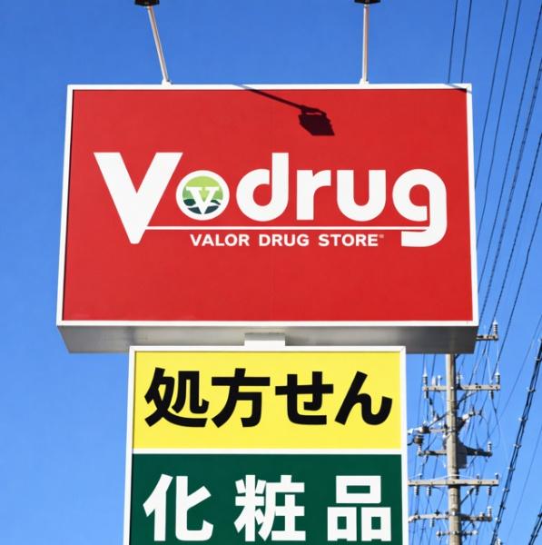 グレイス梅坪102号室(V・drug豊田梅坪店)