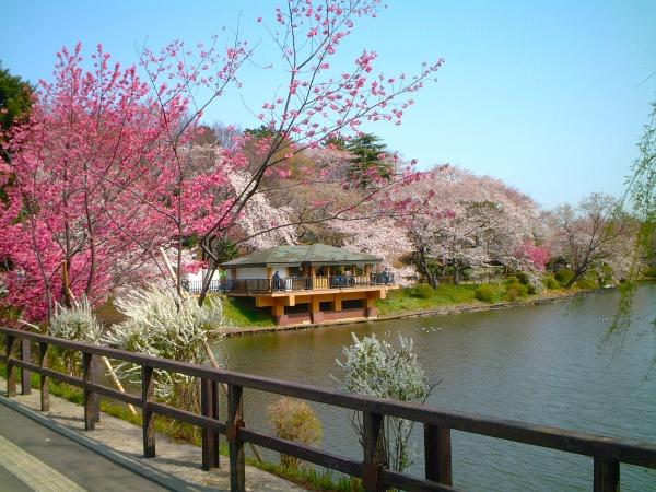 横浜市鶴見区上末吉4丁目の新築一戸建(神奈川県立三ッ池公園)