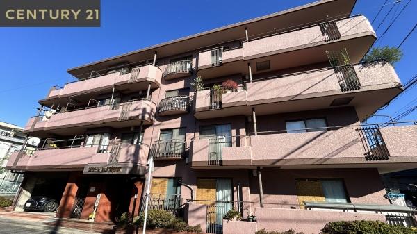 セザール第三武蔵新城