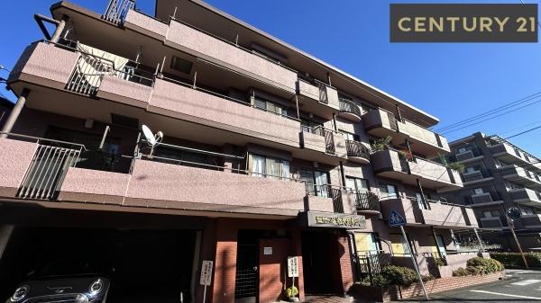 セザール第三武蔵新城