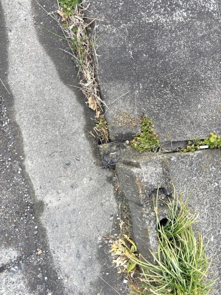 愛西市町方町南堤外の中古一戸建て