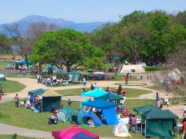稲沢市祖父江町祖父江南川原の土地(ワイルドネイチャープラザ)