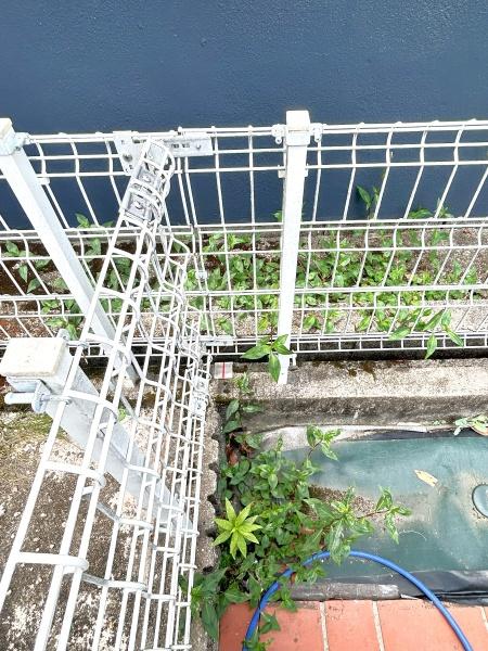 海部郡大治町大字三本木字西之川の中古一戸建て