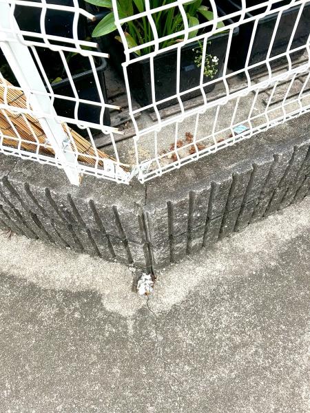 海部郡大治町大字三本木字西之川の中古一戸建て