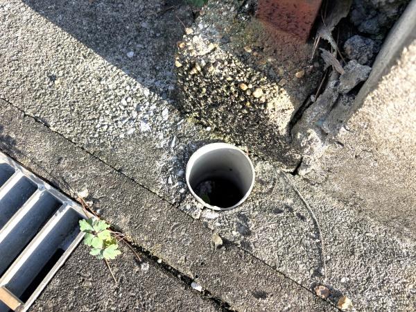 弥富市鎌島９丁目の土地