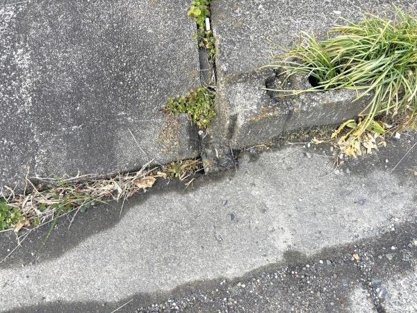 愛西市町方町南堤外の土地