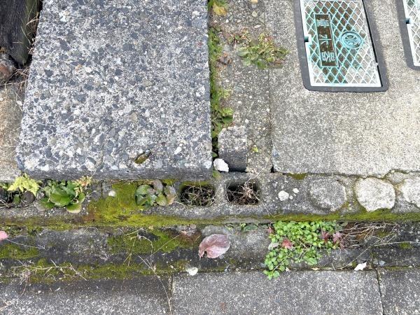 愛西市町方町南堤外の土地