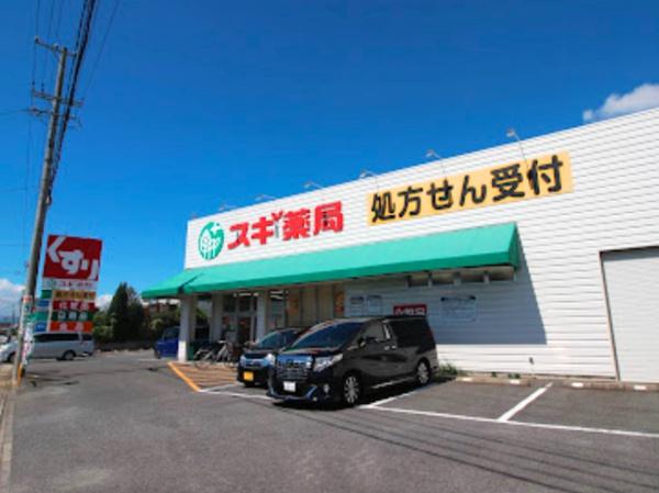 津島市越津町字柳之内の土地(スギ薬局神守店)