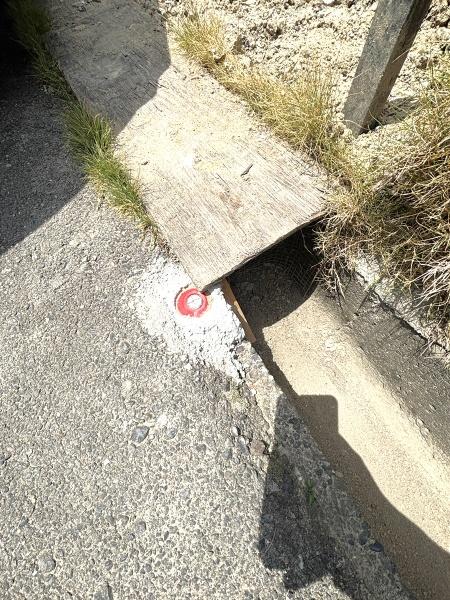 津島市葉苅町字稲葉の土地