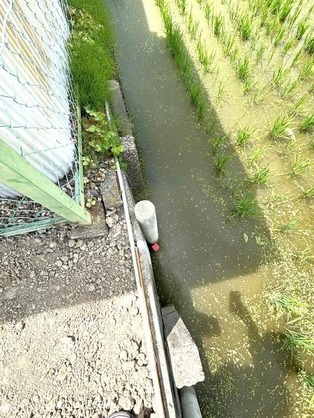 津島市葉苅町字稲葉の土地