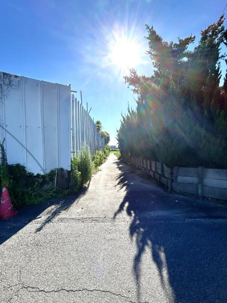 愛西市本部田町茨塚の土地