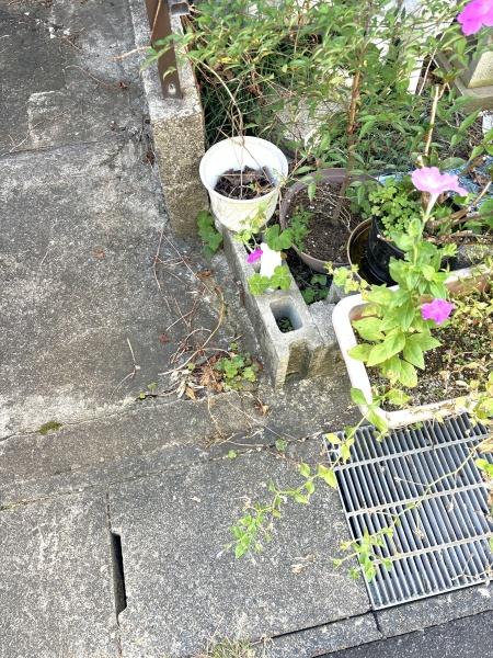 愛西市北一色町北田面の中古一戸建て
