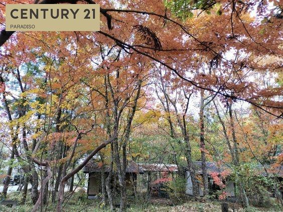 みやま柳川インター車で5分別荘や旅館のような店舗