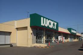 札幌市豊平区西岡二条１１丁目の中古一戸建て(ラッキー西岡店)