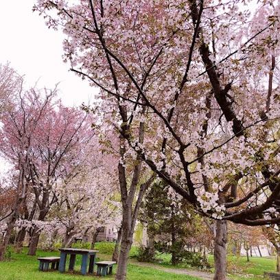 札幌市手稲区前田九条１０丁目の土地(三晃ぼうけん公園)