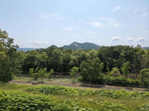 パレス藻南公園　南西・南東角住戸