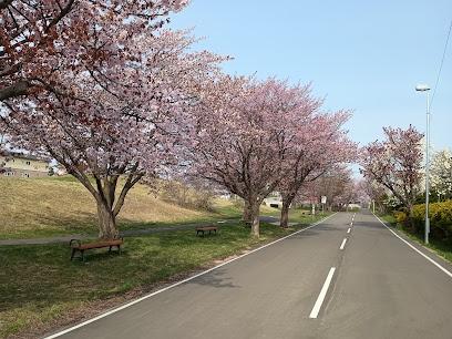 札幌市厚別区厚別南４丁目の土地(厚別南公園)
