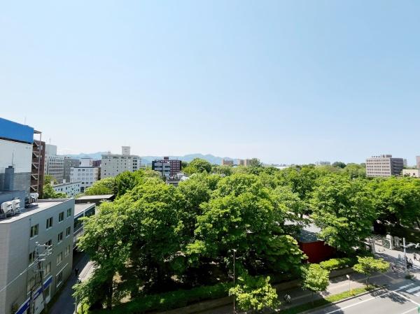 パシフィック北大前