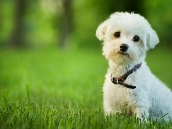 スクエアガーデン稲積公園