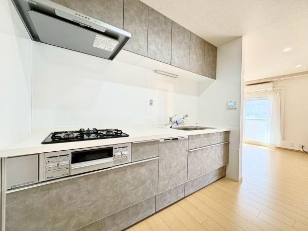 ライオンズマンション山鼻１３条