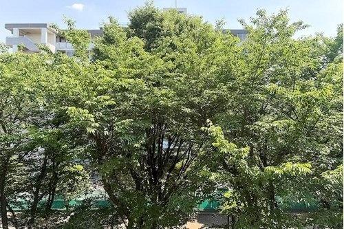 アールヴェール三鷹下連雀