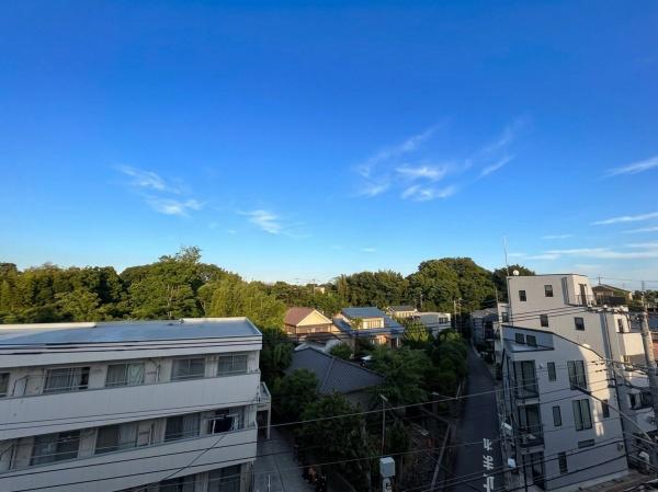 デュオ井の頭公園