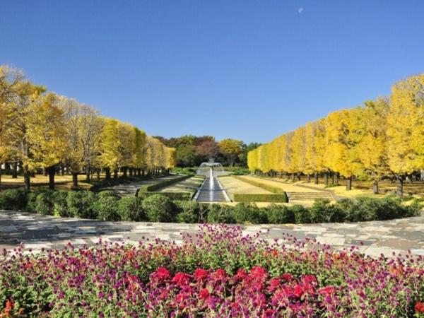 イーグル立川(国営昭和記念公園)