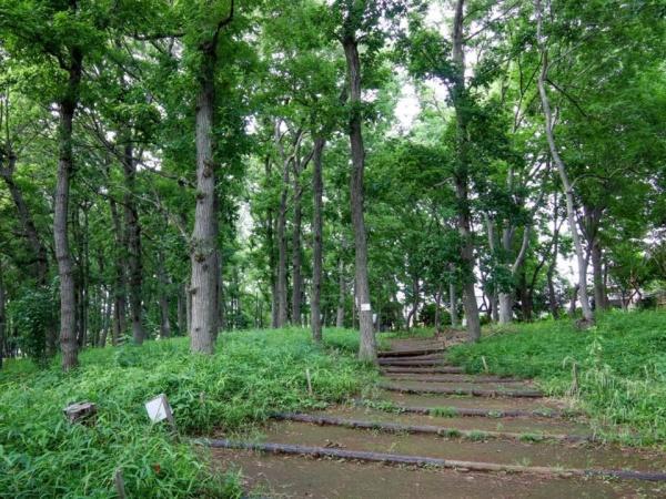 シティハウス仙川緑ヶ丘(緑ヶ丘みんなの森)