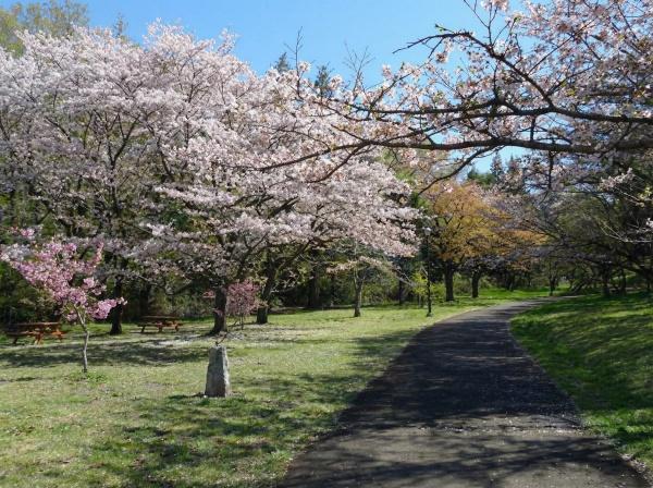 ライオンズ聖蹟桜ヶ丘パシーナ(都立桜ヶ丘公園)