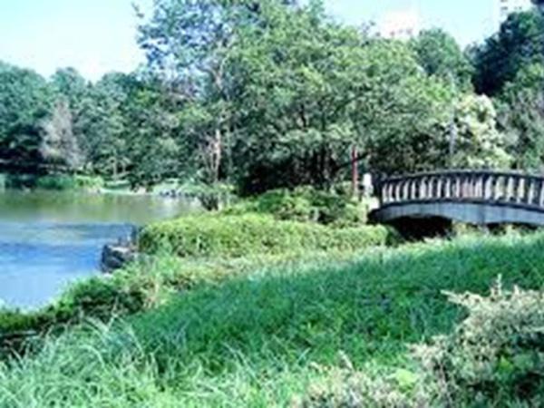 多摩市豊ヶ丘４丁目の中古一戸建て(豊ヶ丘公園)