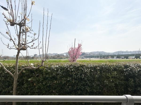 府中多摩川通り住宅２号棟