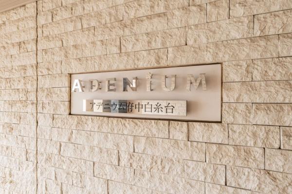 アデニウム府中白糸台