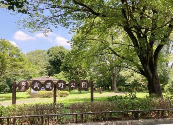 プレシス小金井緑町(武蔵野公園)