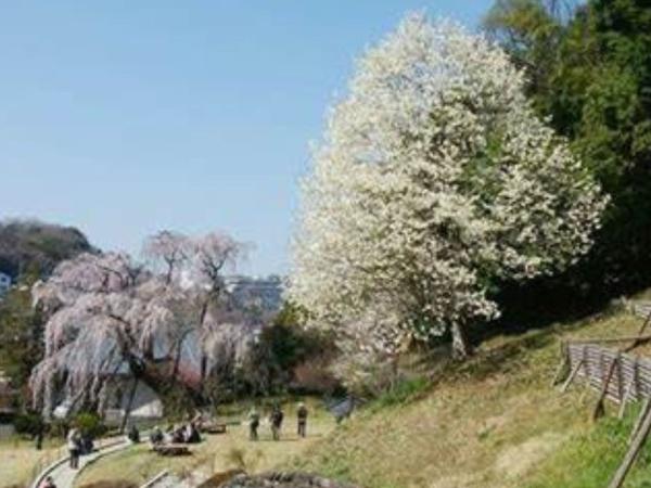 多摩市鶴牧２丁目の中古一戸建て(鶴牧西公園)