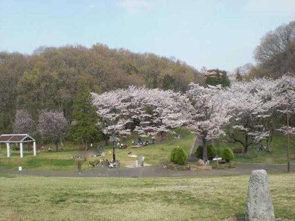 ライオンズ多摩永山フォレストマークス(都立桜ヶ丘公園)