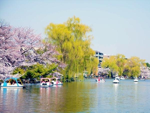 練馬区富士見台4丁目(石神井公園)