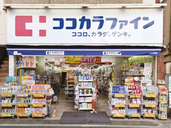 狛江市岩戸南町2丁目(ココカラファイン)