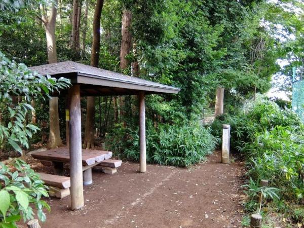国分寺市光町3丁目の中古一戸建て(平兵衛樹林地)