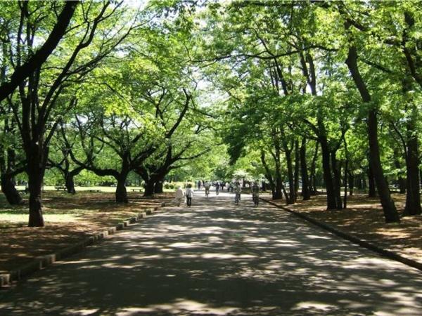ライオンズシティ武蔵小金井(都立小金井公園)