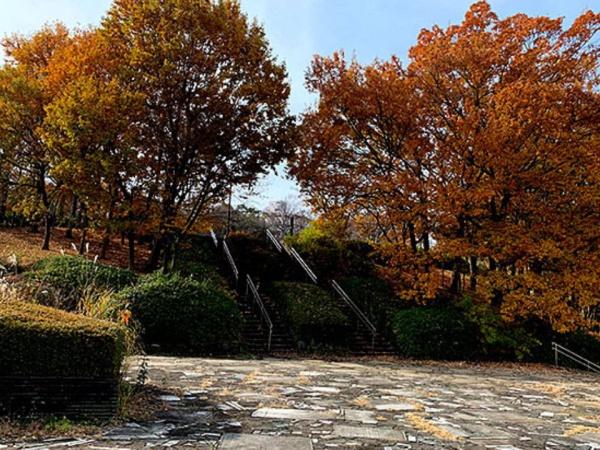 多摩市桜ヶ丘3丁目の中古一戸建て(愛宕東公園)