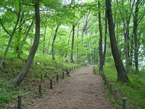 府中市浅間町3丁目(浅間山公園)