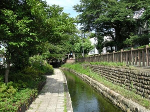 江戸川区西瑞江5丁目(古川親水公園)