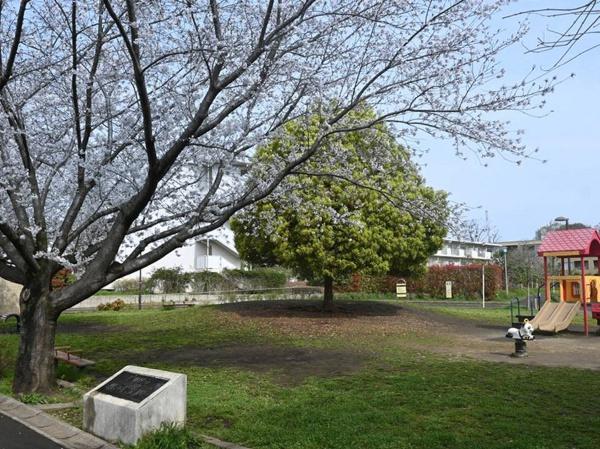 杉並区和泉1丁目の土地(弁天橋公園)
