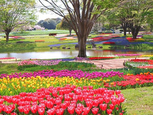 立川市高松町1丁目の中古一戸建て(昭和記念公園)