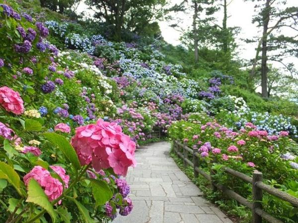 下田市吉佐美の中古一戸建て(下田公園)