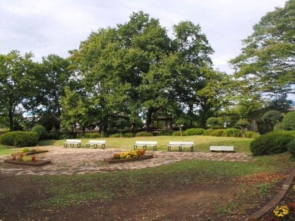 東村山市久米川町４丁目(熊野公園)