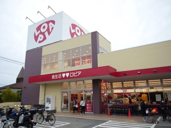 若葉台ワルツの杜　B棟(ロピア)
