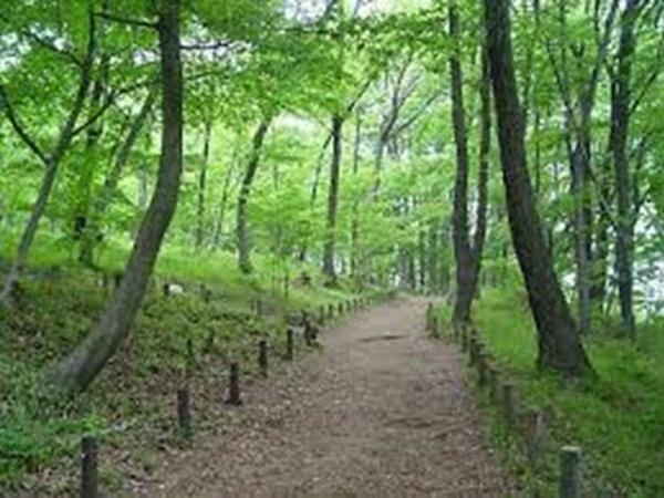 府中市若松町３丁目　２号棟(浅間山公園)