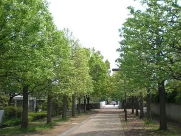 ドラゴンマンション多摩センター　壱番館(鶴牧西公園)
