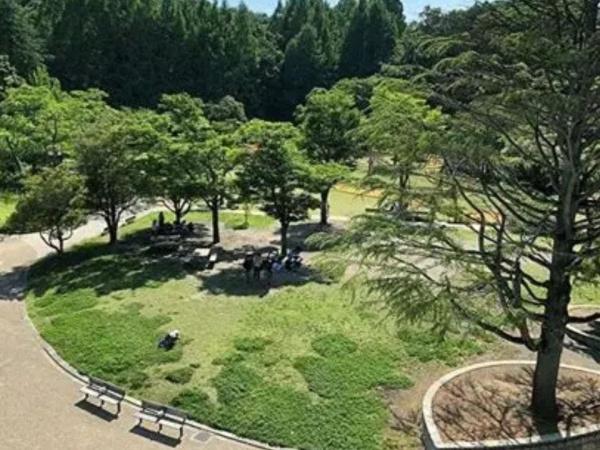 川崎市多摩区枡形５丁目の中古一戸建て(生田緑地)